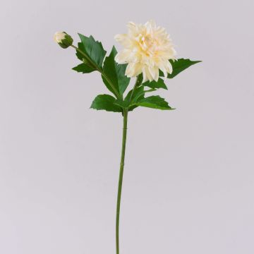 Fiore artificiale dalia WERNYT, crema, 45 cm