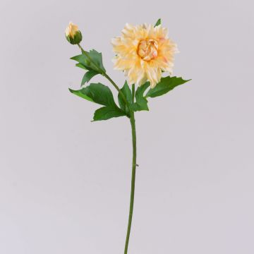 Fiore artificiale dalia WERNYT, crema-albicocca, 45 cm