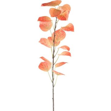 Ramo decorativo di pioppo nero SOLVEN, arancione, 120 cm Ramo decorativo di pioppo nero SOLVEN, arancione, 120 cm