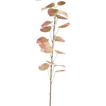 Ramo decorativo pioppo nero SOLVEN, rosso-verde, 120 cm Ramo decorativo pioppo nero SOLVEN, rosso-verde, 120 cm