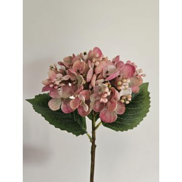 Ortensia artificiale MYNMAR, rosa-crema, 35 cm