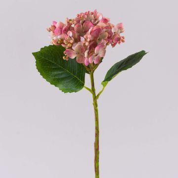 Ortensia artificiale MYNMAR, rosa-crema, 35 cm Ortensia artificiale MYNMAR, rosa-crema, 35 cm
