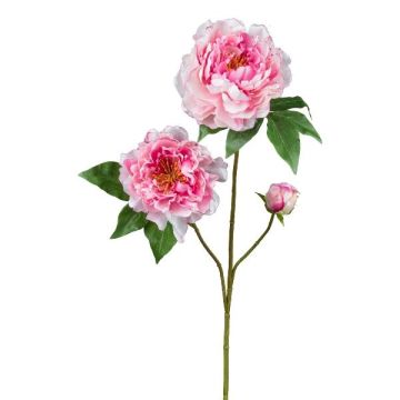Ramo di fiori artificiali peonia BROLI, rosa, 80 cm Ramo di fiori artificiali peonia BROLI, rosa, 80 cm