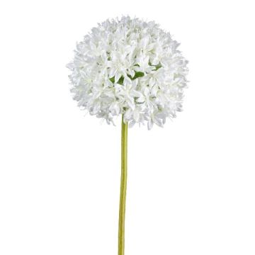 Fiore artificiale allium KLATE, bianco, 90 cm