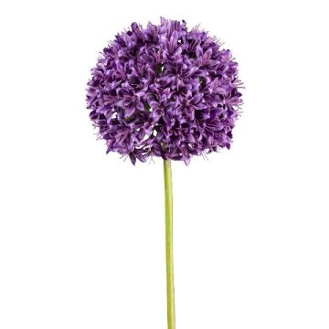 Fiore artificiale Allium KLATE, viola scuro, 90 cm