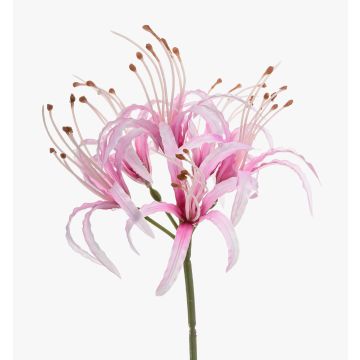 Amaryllis da giardino artificiale NANFAJI, rosa, 65 cm