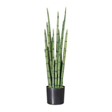 Pianta grassa artificiale Sansevieria cylindrica VROSKE, verde, 100 cm