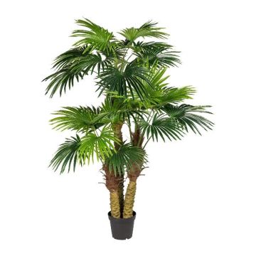 Palma artificiale Washingtonia URSUL, 185 cm