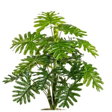Pianta artificiale Philodendron Selloum PRINO, bastoncino, 50 cm Pianta artificiale Philodendron Selloum PRINO, bastoncino, 50 cm