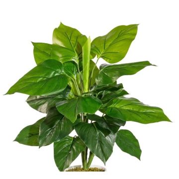 Pianta artificiale Philodendron Scandens GIMPA, bastoncino, 50cm Pianta artificiale Philodendron Scandens GIMPA, bastoncino, 50cm