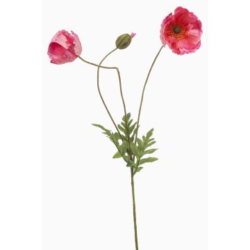 Ramo decorativo di papavero SCHUNRA, rosa, 75 cm