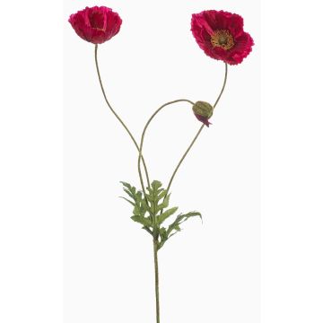Ramo decorativo di papavero SCHUNRA, fucsia, 75 cm