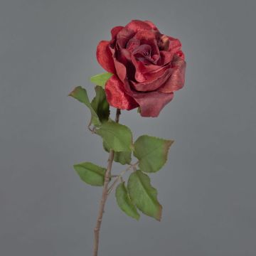 Rosa di velluto SINDALA, rosso, 60cm, Ø12cm