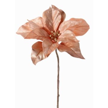 Poinsettia di velluto SHEBA, salmone, 55cm, Ø21cm