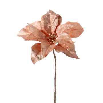 Poinsettia di velluto SHEBA, salmone, 55cm, Ø23cm