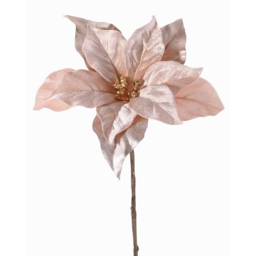Poinsettia di velluto SHEBA, lilla chiaro, 55cm, Ø21cm