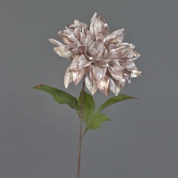 Dahlia di velluto MINBU, beige-rosa, 60cm, Ø18cm
