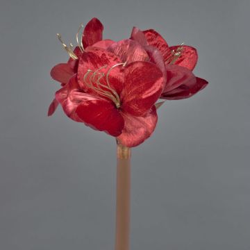 Amaryllis di velluto KIRSTY, rosso, 70cm, Ø9cm Amaryllis di velluto KIRSTY, rosso, 70cm, Ø9cm