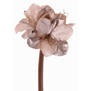 Amaryllis di velluto KIRSTY, lilla chiaro, 70cm, Ø13-15cm Amaryllis di velluto KIRSTY, lilla chiaro, 70cm, Ø13-15cm