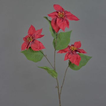 Ramo di poinsettia di velluto TONZI, rosso, 80cm, Ø14cm