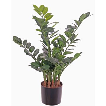 Zamioculcas artificiale JANGOLIE, 70cm Zamioculcas artificiale JANGOLIE, 70cm