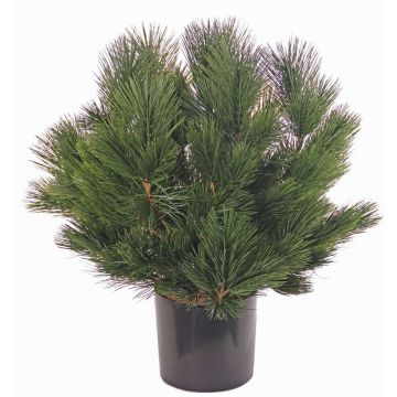 Arbusto artificiale di pino KARHA, zona trasversale, verde, 70cm, Ø70cm Arbusto artificiale di pino KARHA, zona trasversale, verde, 70cm, Ø70cm