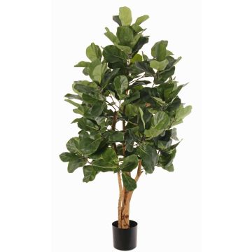 Albero artificiale di ficus lyrata TUNGA, tronchi naturali, verde, 150cm Albero artificiale di ficus lyrata TUNGA, tronchi naturali, verde, 150cm