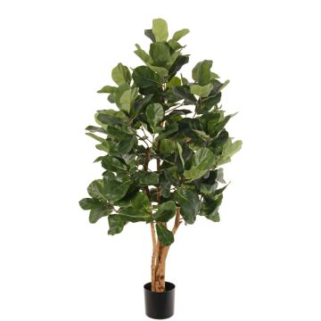 Albero artificiale di ficus lyrata TUNGA, tronchi naturali, verde, 150cm