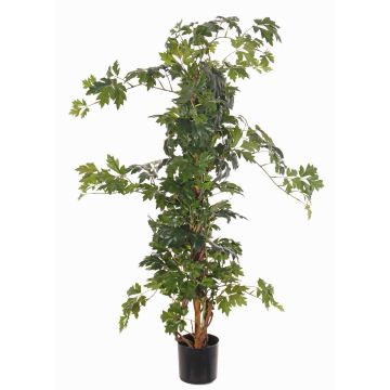 Vite reale artificiale RAMAN, tronchi veri, verde, 115cm Vite reale artificiale RAMAN, tronchi veri, verde, 115cm
