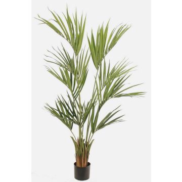 Palma Kentia artificiale PAIGE, 155cm