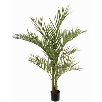 Palma areca artificiale JUMBOLINO, 150cm Palma areca artificiale JUMBOLINO, 150cm