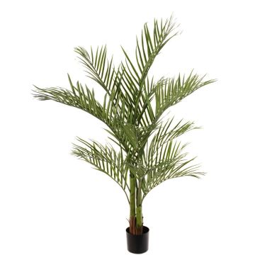 Palma areca artificiale JUMBOLINO, 150cm