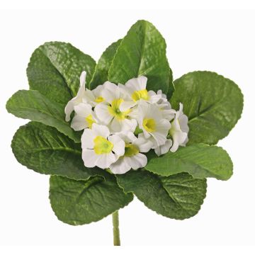 Primula artificiale SUNDARA su stelo, bianco, 20cm, Ø4cm
