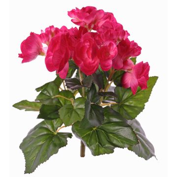 Begonia artificiale BIRMA su stelo, fucsia, 20cm, Ø3-5cm Begonia artificiale BIRMA su stelo, fucsia, 20cm, Ø3-5cm