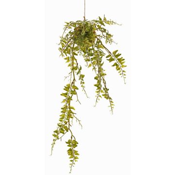 Felce capelvenere artificiale pensile ALEXIAN su palla di muschio, verde, 60cm