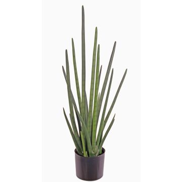 Sansevieria cylindrica artificiale ASTARIA, verde, 95cm Sansevieria cylindrica artificiale ASTARIA, verde, 95cm