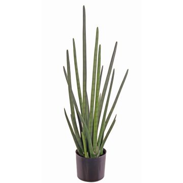 Sansevieria cylindrica artificiale ASTARIA, verde, 95cm