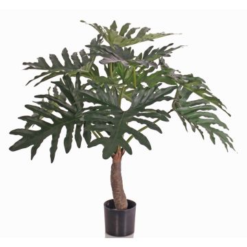 Philodendron selloum finto DONIS, tronco artificiale, 80cm Philodendron selloum finto DONIS, tronco artificiale, 80cm
