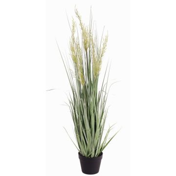 Canna artificiale DAFINYA con pannocchie, verde, 120cm