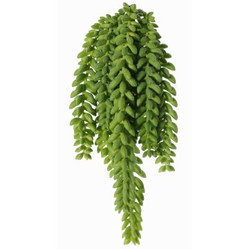 Sedum morganianum artificiale pensile DESPOINA, verde, 30cm Sedum morganianum artificiale pensile DESPOINA, verde, 30cm