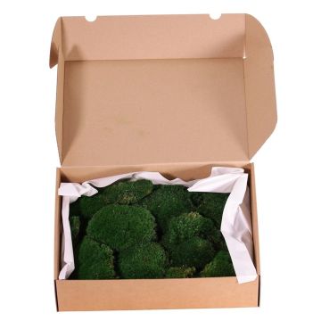 Vero muschio DIMITRA, verde, 800g, 0,15 m2 Vero muschio DIMITRA, verde, 800g, 0,15 m2