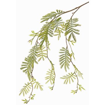 Ramo di mimosa artificiale ELPIDA, verde, 110cm Ramo di mimosa artificiale ELPIDA, verde, 110cm