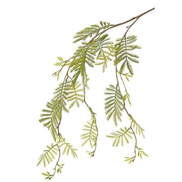 Ramo di mimosa artificiale ELPIDA, verde, 110cm