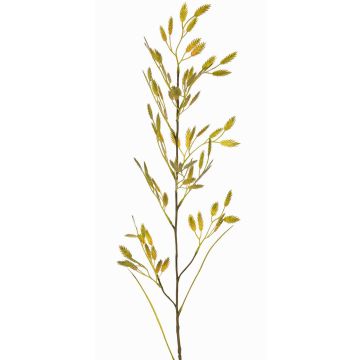Ramo finto d'erba Chasmanthium latifolium GENNA con spighe, giallo-verde, 100cm