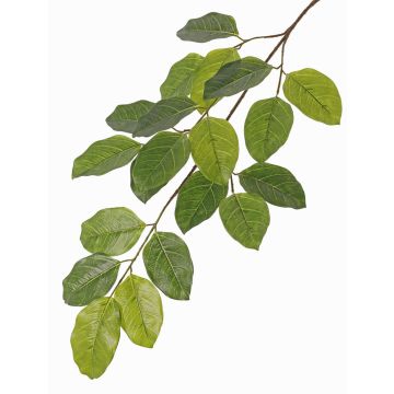 Ramo di baniano artificiale ERASMOS, difficilmente infiammabile, verde, 80cm Ramo di baniano artificiale ERASMOS, difficilmente infiammabile, verde, 80cm