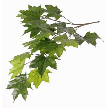 Ramo d'acero artificiale EUSEBIA, difficilmente infiammabile, verde, 80cm Ramo d'acero artificiale EUSEBIA, difficilmente infiammabile, verde, 80cm