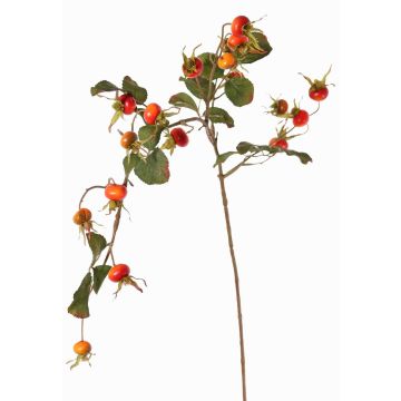 Ramo di rosa selvatica artificiale FILONAS con frutti, arancione-rosso, 105cm