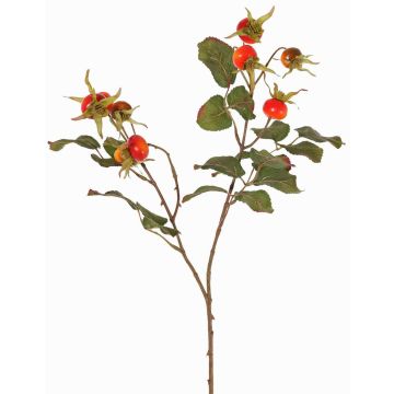 Ramo di rosa selvatica artificiale FILONAS con frutti, arancione-rosso, 60cm