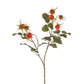 Ramo di rosa selvatica artificiale FILONAS con frutti, rosso-arancione, 60cm Ramo di rosa selvatica artificiale FILONAS con frutti, rosso-arancione, 60cm