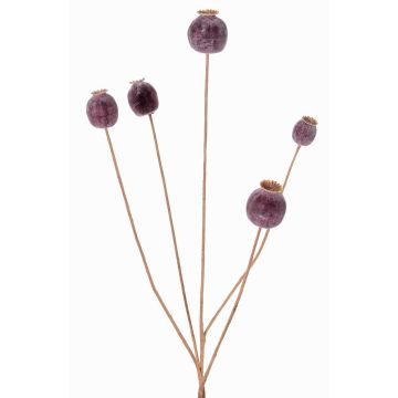 Capsula di papavero artificiale FILOMELA, marrone scuro, 75cm, Ø2-3,5cm Capsula di papavero artificiale FILOMELA, marrone scuro, 75cm, Ø2-3,5cm